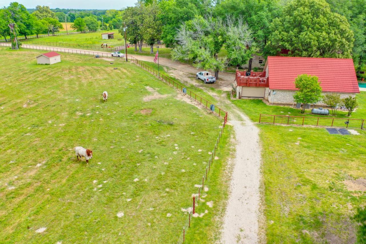 Dog-Friendly Wills Point Home With Grill On 10 Acres Кантон Экстерьер фото